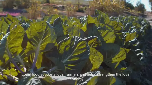 Video thumbnail for Unleashing Power of Local Food