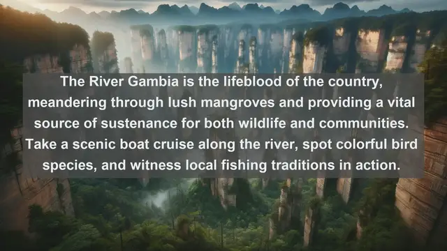 Video thumbnail for Discover The Gambia's Top 10 Must-See Landscapes: From Riverine Mangroves to Vibrant Markets