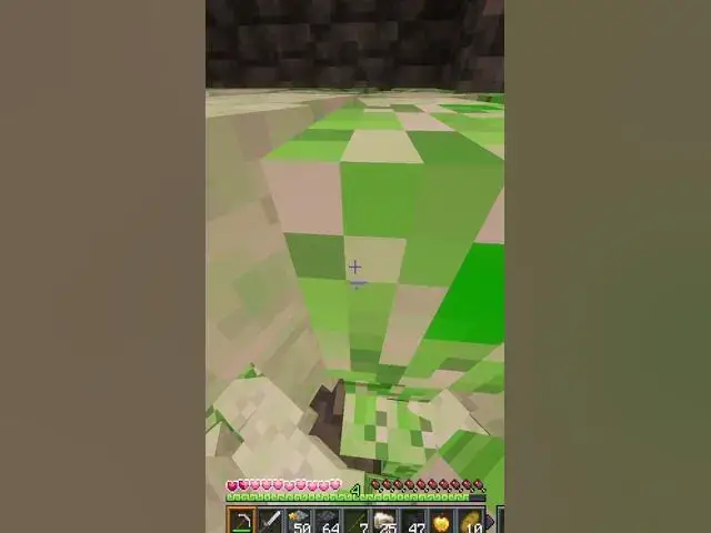 Video thumbnail for NEVER Dig Down In Minecraft #minecraftshorts