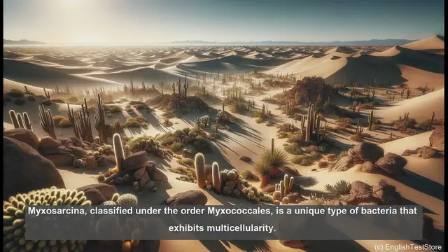 Video thumbnail for Myxosarcina in biology