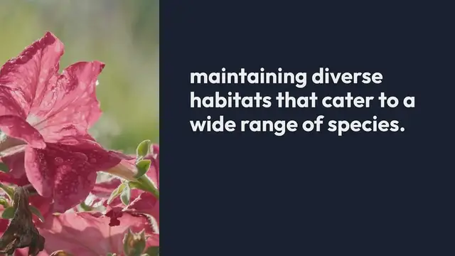 Video thumbnail for How Botanical Gardens Support Local Wildlife