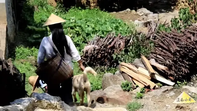 Video thumbnail for 蒸糯玉米粑粑，色泽金黄，原汁原味，又甜又糯，6岁小孩一口气能吃4个【滇西小哥】 (720p 25fps)