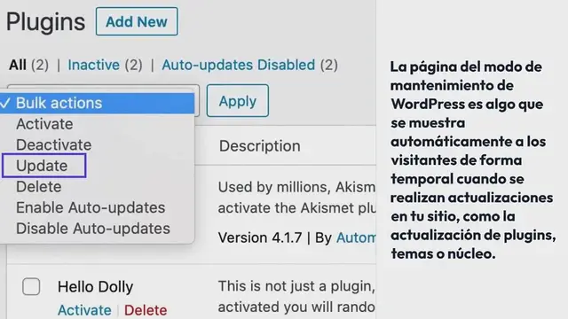 Video thumbnail for Modo de Mantenimiento de WordPress – Resolución de Problemas y Personalización