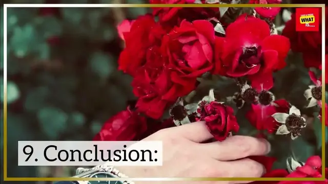 Video thumbnail for What is a Pulsar and How Does It Form?