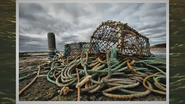 Video thumbnail for Exploring Lobster Fishing Season and Size Limits in California Waters