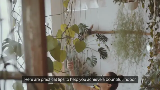 Video thumbnail for How to Maximize Indoor Garden Yield with Limited Light