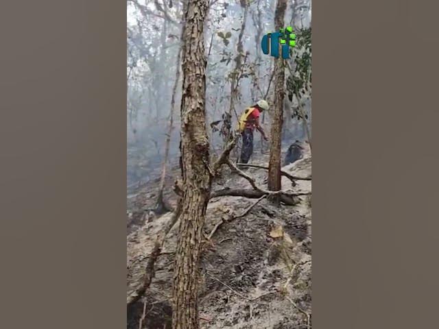 Video thumbnail for Reportan parcialmente controlado incendio en el cerro Apante de Matagalpa