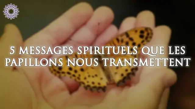 Video thumbnail for 🦋 5 MESSAGES SPIRITUELS QUE LES PAPILLONS NOUS TRANSMETTENT