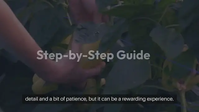 Video thumbnail for How to Grow Indoor Bell Peppers Successfully