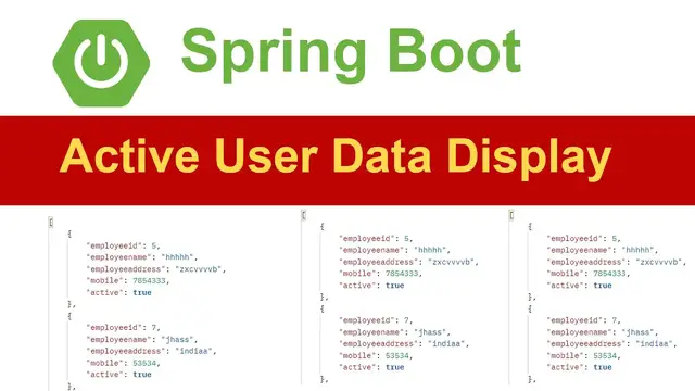 Video thumbnail for Spring Boot Active User Data Display