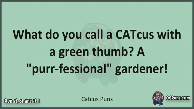 Video thumbnail for Catcus - Jokes, Puns, Wordplays, and Laughter