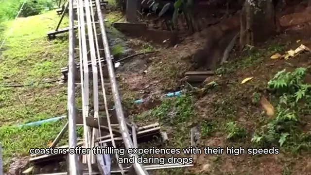 Video thumbnail for Top 10 Exhilarating Roller Coasters