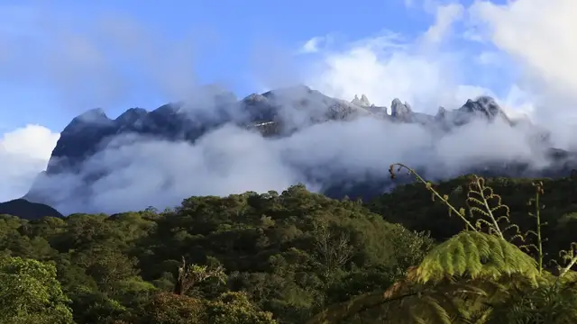 Video thumbnail for Kinabalu Park - Kiau View Trail | Borneo