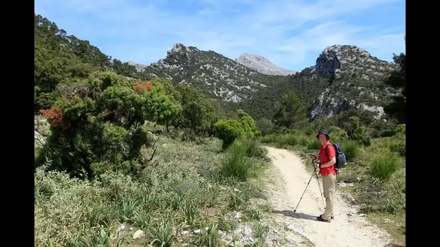 Video thumbnail for Wanderung um den Puig des Tossals Verds | Mallorca