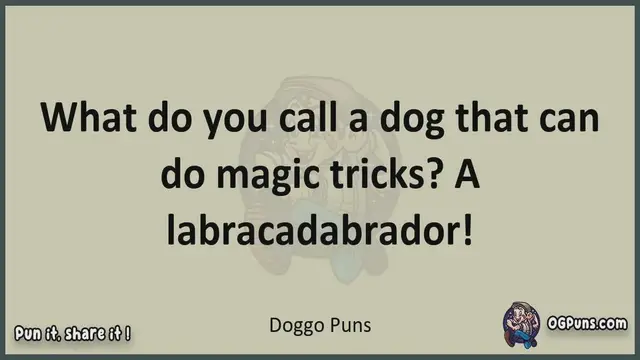 Video thumbnail for Doggo - Jokes, Puns, Wordplays, and Laughter
