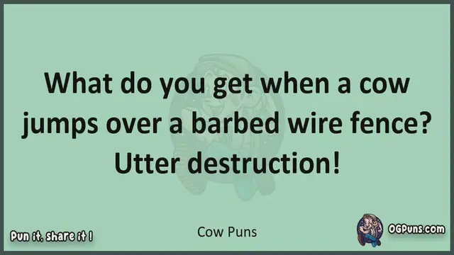 Video thumbnail for Cow - Jokes, Puns, Wordplays, and Laughter