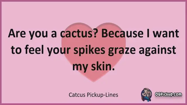Video thumbnail for Catcus - Pickup-Lines & Rizz for Him & for Her