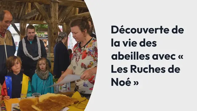 Video thumbnail for Questembert Communauté. Découverte de la vie des abeilles avec « Les Ruches de Noé »