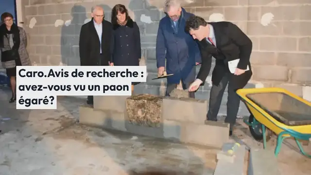 Video thumbnail for Caro. Avis de recherche : avez-vous vu un paon égaré?