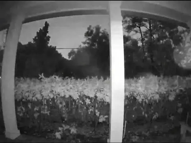'Video thumbnail for Average Evening in FL'