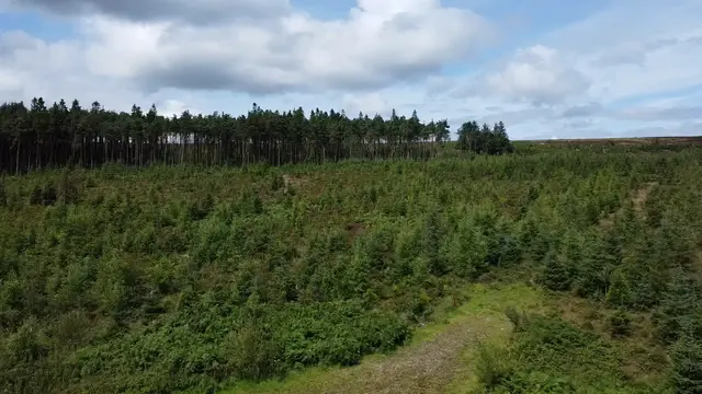 'Video thumbnail for DJI Mini 2 SE Test Flight'