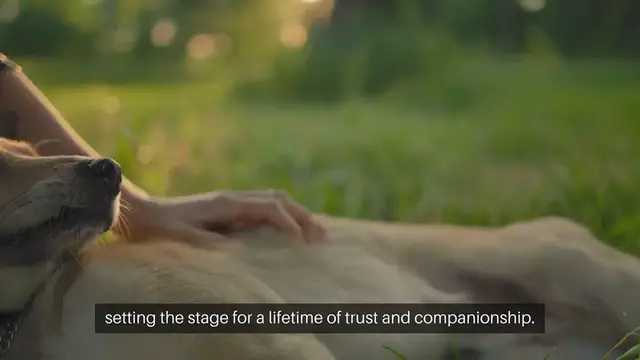 'Video thumbnail for Adopting a Pet Rescued with Care'