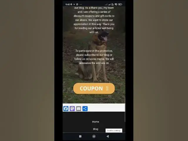 'Video thumbnail for https://www.baloogsd.com/'
