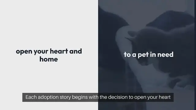 'Video thumbnail for Adopting a Pet Rescued with Hope'