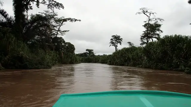 Video thumbnail for Bootsfahrt nach Tortuguero | Costa Rica