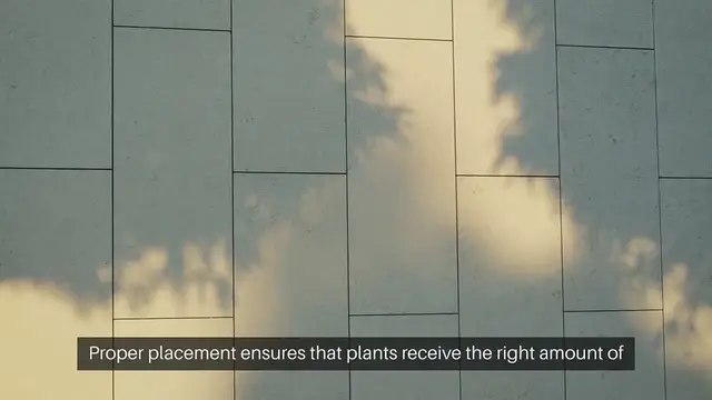 Video thumbnail for Adjust Plant Placement Sunlight