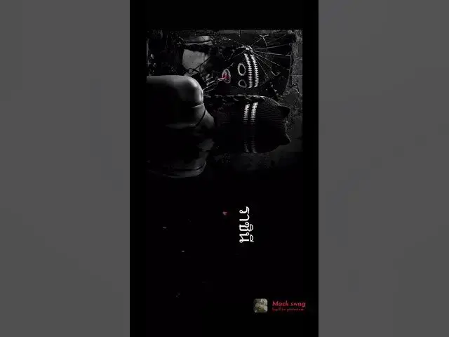 Video thumbnail for To Blade kitten by Mack swag #dailyvideo