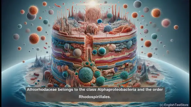 Video thumbnail for Athiorhodaceae in biology