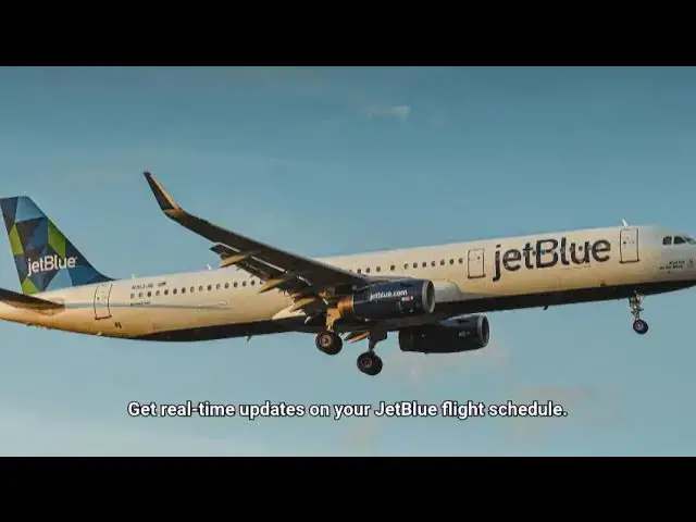 Video thumbnail for jetblue flight status