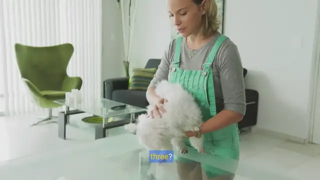 Video thumbnail for Pearly Whites: A Dog Owner's Guide to Brushing Your Pet's Teeth