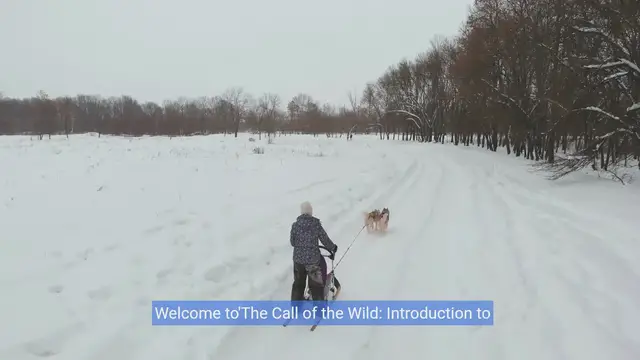 Video thumbnail for Thriving with Energy: The Ultimate Guide to High-Energy Dog Breeds