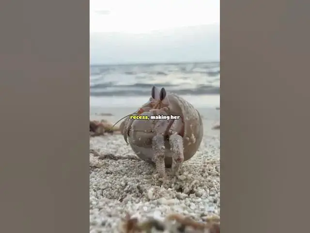 Video thumbnail for My Mom Thinks My Daughter Is Too Boyish 🥺 #redditstories #aitareddit