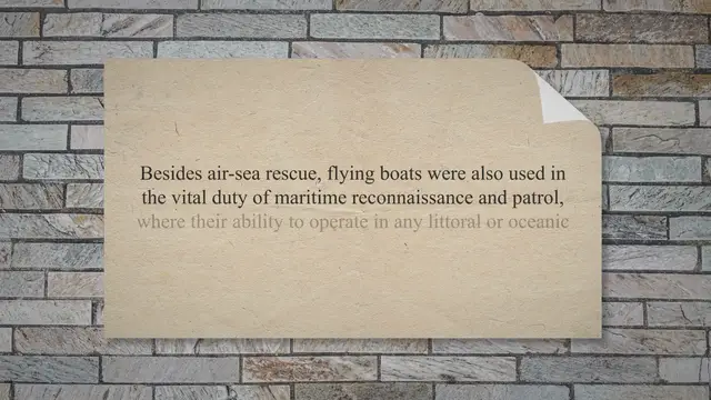 Video thumbnail for Blohm & Voss BV 138 – The Sea Dragon