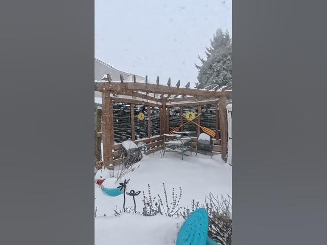 Video thumbnail for Snow Jan 25 2025 timelapse pergola view 3