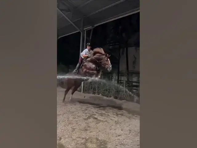 Video thumbnail for 7-sentabr, 2025