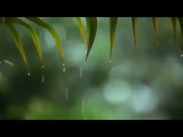 'Video thumbnail for রেনম্যানিয়া'