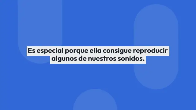 Video thumbnail for Loro para colorear