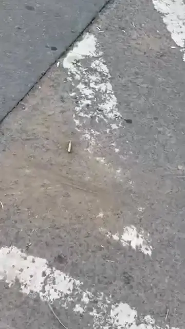 Video thumbnail for Driver Killed in Suspected Targeted Shooting in Oakford, KZN
