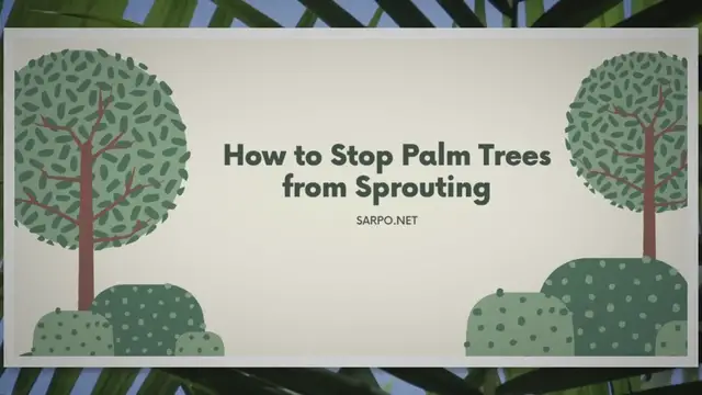 Video thumbnail for How To Stop Palm Trees From Sprouting  | SARPO