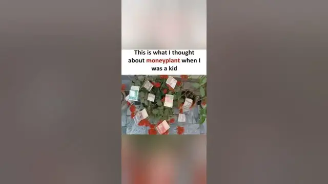 Video thumbnail for Memes only Legends will find funny,op memes | Relatable memes | #108 #shorts #memes #anonymous #meme