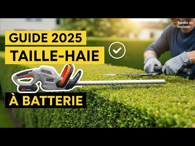 Video thumbnail for Stop aux ERREURS ! Choisir le bon taille-haie à batterie (Comparatif)
