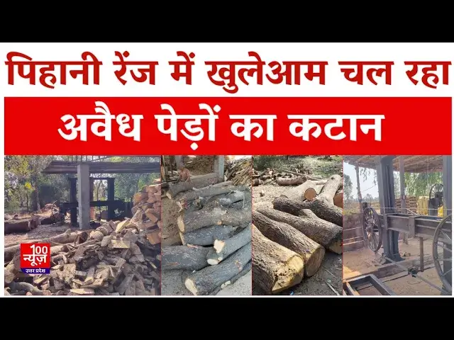 Video thumbnail for Hardoi News: पिहानी रेंज में खुलेआम चल रहा अवैध पेड़ों का कटान । #upnews