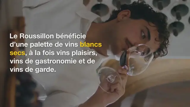 Video thumbnail for Vins blancs Aop / Igp du Roussillon : plaisir et gastronomie