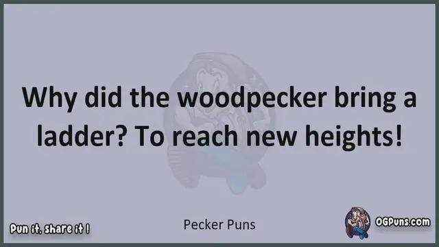 Video thumbnail for Pecker - Jokes, Puns, Wordplays, and Laughter