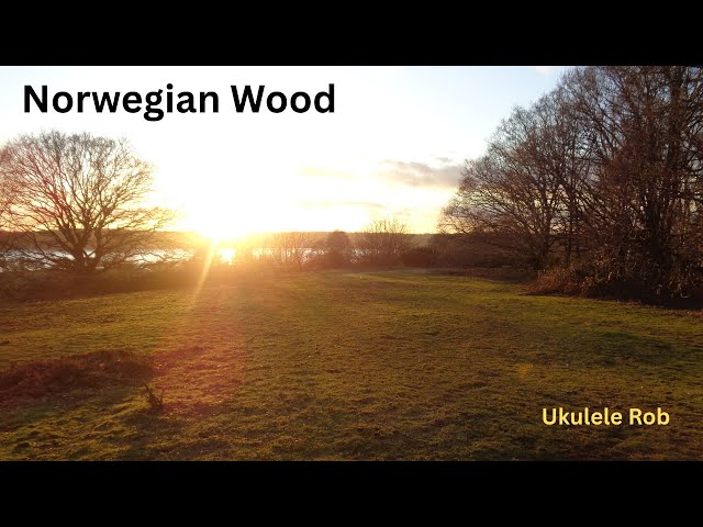 Video thumbnail for Norwegian Wood [Baritone Ukulele ,cords & lyrics in Description.