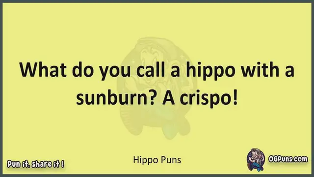 Video thumbnail for Hippo - Jokes, Puns, Wordplays, and Laughter